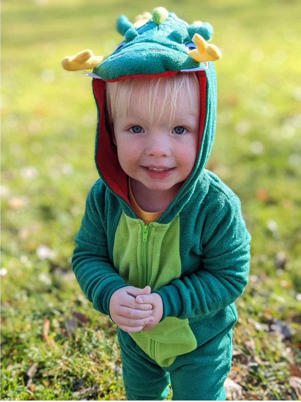 Kids Dragon Fleece Onesie Halloween Costume Pajamas